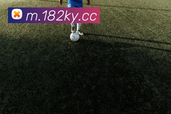 奖项图2